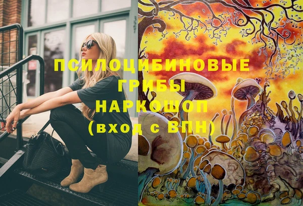 тгк Алексин