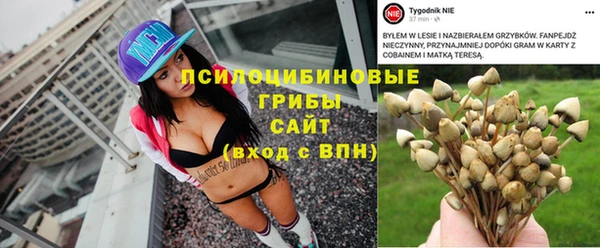 твердый Алзамай