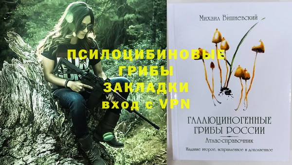 твердый Алзамай