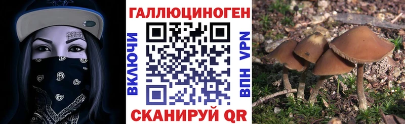 где найти   Гусиноозёрск  гидра ссылка  Псилоцибиновые грибы мухоморы 