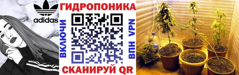 Бошки Шишки White Widow Гусиноозёрск